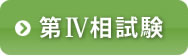 第Ⅳ相
